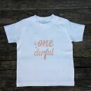 Organic Baby T-Shirt Onederful